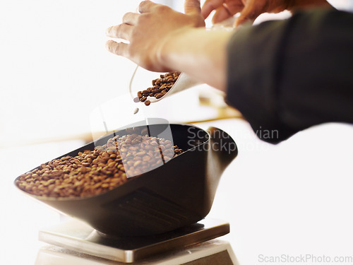 Image of Coffee beans, scale and closeup of hands of barista weighing for retro, espresso and restaurant. Cappuccino, beverage and brewing with ground caffeine product and person for shopping, cafe and retail