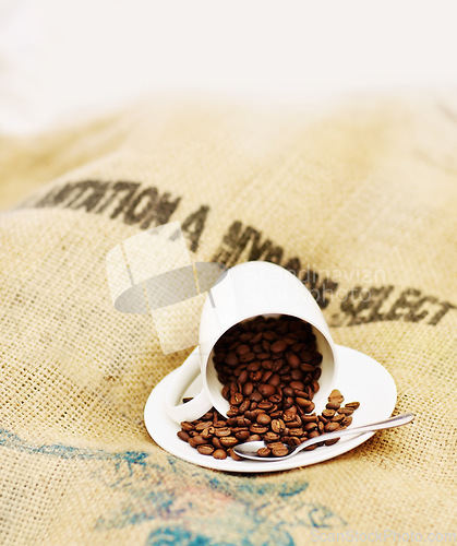 Image of Coffee cup, roasted beans and cafe industry or shop with quality product on sack for marketing. Texture, abstract or background with brown grain for selling drink, espresso or caffeine ingredient