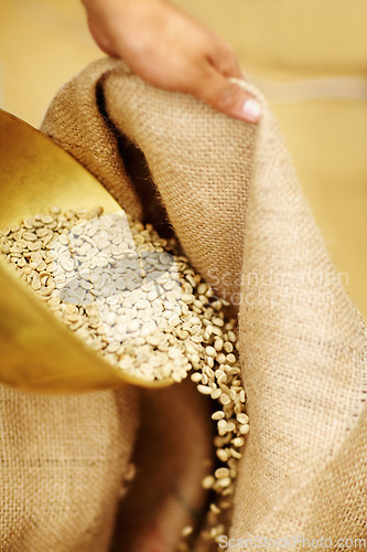 Image of Closeup, burlap sack and coffee with beans, hand and inventory with ingredient, agriculture and natural. Zoom, hand and fabric with seeds, cloth and roasted grains with aroma, wellness and caffeine