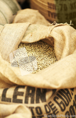 Image of Natural, produce and coffee beans in a burlap sack for rustic storage, import or packing. Production, industry and closeup of white grains of caffeine in a cloth bag for fresh, organic or raw product
