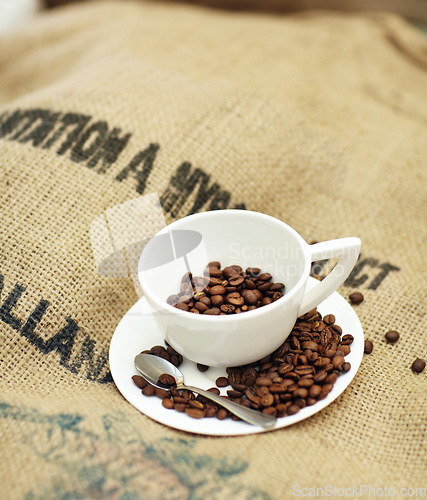 Image of Roasted coffee beans, cup and cafe industry with quality product on sack for marketing and advertising. Texture, abstract or background with brown grain as drink, espresso or caffeine ingredient