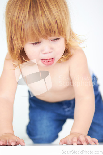 Image of Cute, crawling and learning with baby on floor for curious, sweet and child development. Growth, youth and health and adorable with young toddler on ground in studio for childhood, innocent or active