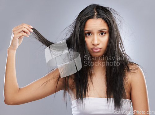 Image of Hair, damage and portrait of woman in studio with worry for split ends, haircare crisis and weak strand. Beauty, hairdresser and face of upset female person with frizz problem on gray background