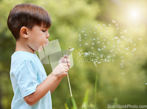 Image of Nature, meadow and child blowing dandelion for wish, hope and growth in field with flowers. Spring, childhood and profile of young boy with wildflower in park for adventure, freedom and happiness