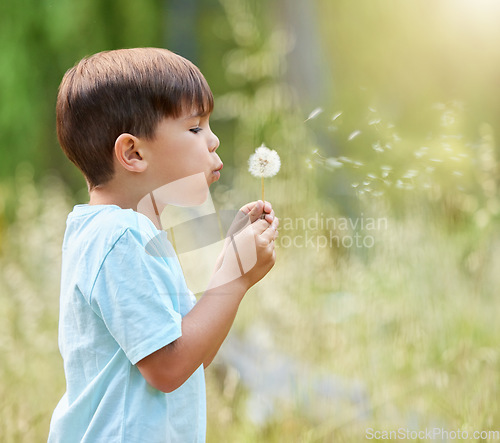 Image of Nature, flowers and child blowing dandelion for wishing, hope and growth in environment. Spring mockup, childhood and profile of young boy with wildflower in park for adventure, freedom and happiness