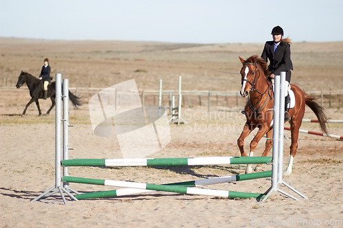 Image of Sport, training and equestrian with woman on horse for show, competition and performance. Fitness, derby and health with female jockey on animal in countryside for obstacle, horseback and rider event