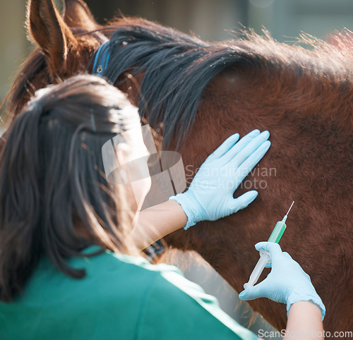 Image of Hands, horse and injection with a vet on a farm for the treatment or cure of an animal disease. Healthcare, medical and sustainability with a female doctor working on a ranch for veterinary insurance