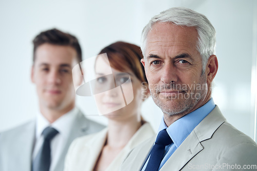 Image of Theyre wired to succeed. Portrait of a group of confident-looking executives.