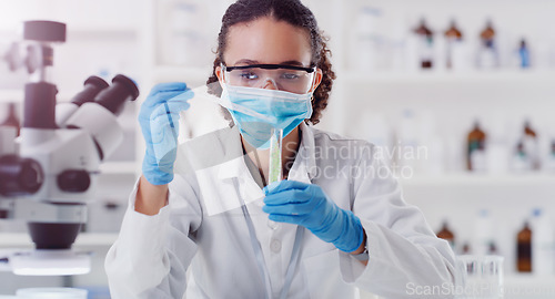 Image of Lab plant analytics, woman scientist mask and ecology pour of a employee with science work. Laboratory worker, medical test and chemistry for botany, biology and health analysis doing research