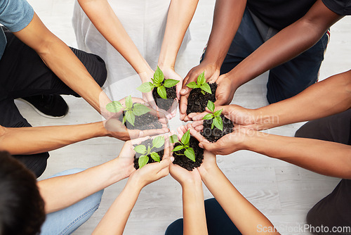 Image of Eco friendly, sustainability and hands with plants and soil for community, collaboration or solidarity. Agriculture, ecology and top view of people holding leaves for organic green energy environment