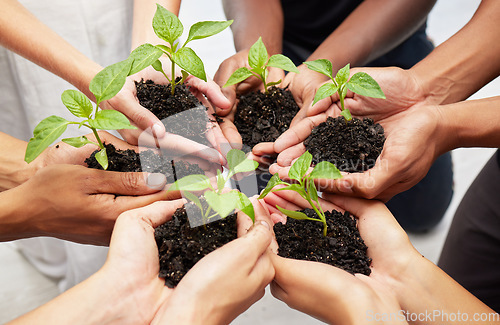 Image of Agriculture, earth day and hands with leaves and soil for community, collaboration or solidarity. Sustainability, ecology and top view of people holding plants for an organic green energy environment