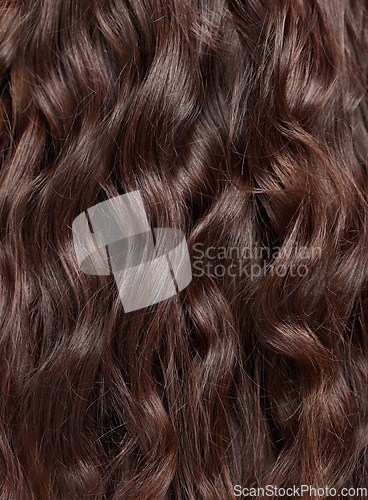 Image of Hair, beauty with balayage and curly hairstyle with haircare, keratin treatment and back view closeup. Person with salon style, color highlights shine and texture, growth and grooming with glamour