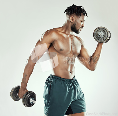 Image of Fitness, strong and black man with dumbbells, exercise and wellness against studio background. Male person, model and bodybuilder with gym equipment, workout goal and strength with health and power