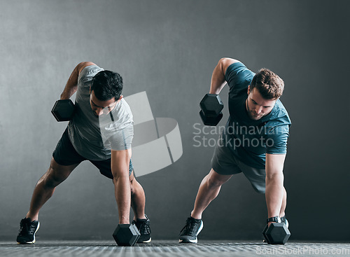 Image of Fitness, men and dumbbell push up for exercise with focus, power and strong muscle with a grey background. Friends or people at gym together for a workout, training commitment or bodybuilder goals