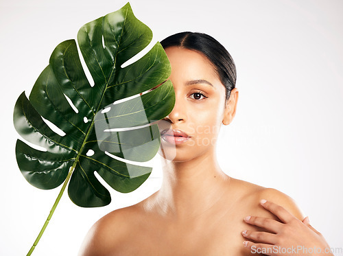Image of Woman, portrait and leaf for natural beauty, skincare or organic cosmetics against a white studio background. Face of female person or model with green plant, leaves or dermatology for sustainability