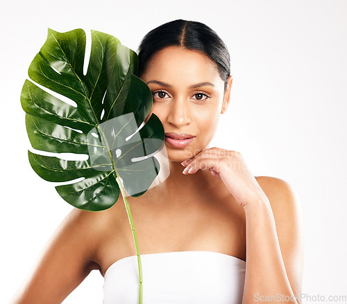 Image of Woman, portrait and leaf for natural skincare, beauty or organic cosmetics against a white studio background. Face of female person or model with green plant, leaves or dermatology for sustainability