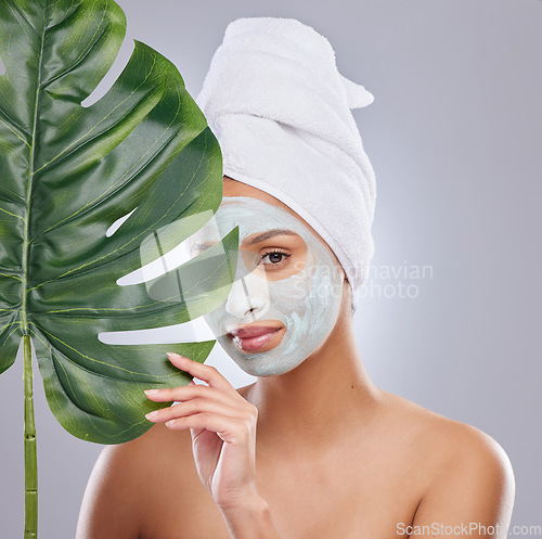 Image of Leaf, skincare and portrait of woman with face mask in studio for dermatology and treatment on grey background. Plant, facial and female model with diy, beauty and eco friendly wellness body care