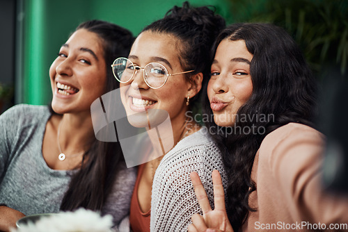 Image of Having sisters means having best friends. Shot of young sisters taking selfies together at a cafe.