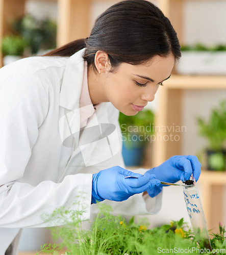 Image of Bagging a few samples. Shot of a young scientist putting soil samples into a bag in a lab.