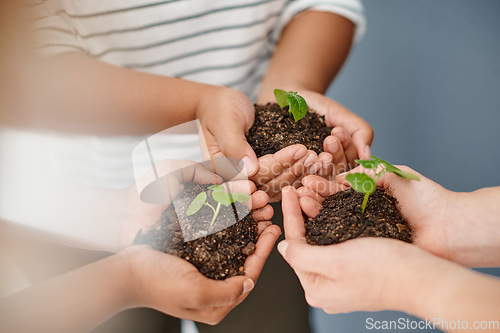 Image of We all have to start somewhere. Cropped shot of an unrecognizable group of businesswomen holding plants growing out of soil inside an office.