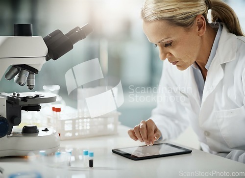 Image of Using the internet to conduct some research. Cropped shot of an attractive mature female scientist using a tablet while doing research in her lab.