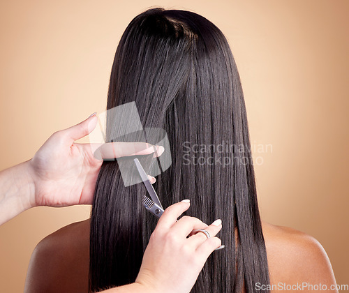 Image of Back view, hands cut hair and woman, beauty and shine, cosmetic care isolated on studio background. Female people at hairdresser salon, scissors and makeover transformation with texture and trim