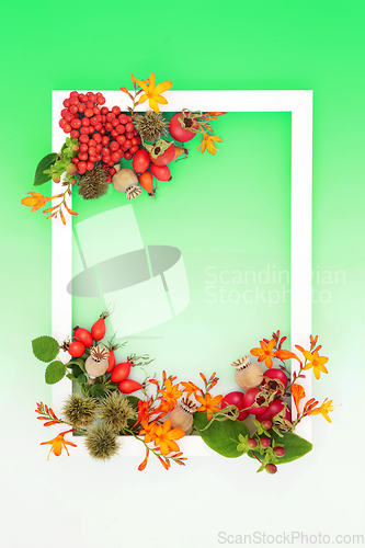 Image of Autumn Fall Festive Nature Background Frame