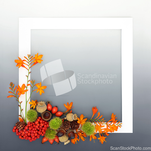 Image of Autumn Thanksgiving Samhain Nature Background Design