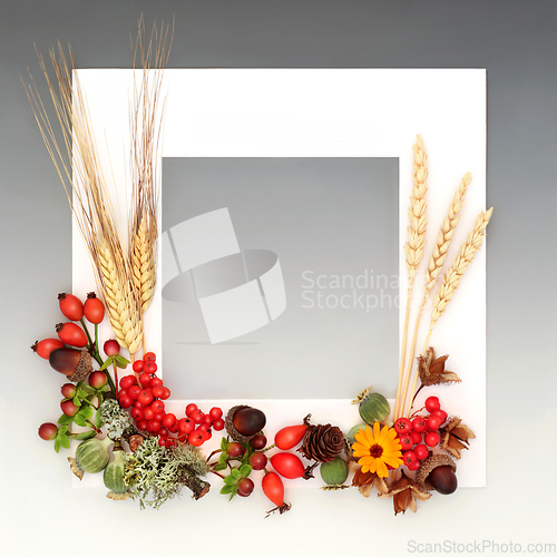 Image of Thanksgiving Day Autumn Harvest Festival Background Border