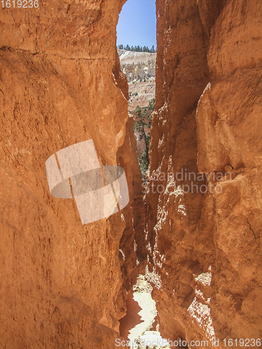 Image of Bryce Canyon National Park