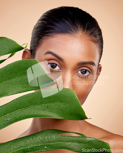 Image of Beauty, skincare and portrait with indian woman with plant for luxury spa in studio background. Dermatology, glow and happy face with leaves for facial treatment with cosmetic for self care or shine.