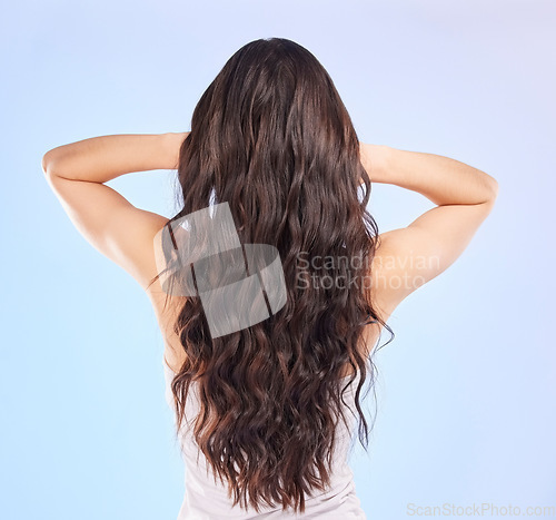 Image of Hair, back view and beauty, woman and balayage hairstyle with Brazilian and shine on blue background. Haircare, female model and cosmetic care, salon treatment and texture with growth in studio