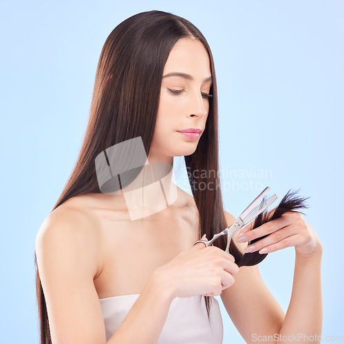 Image of Hair care, trimming and a woman with scissors on a studio background for breakage or damage. Health, beauty and a young girl or model with tools for hairstyle maintenance isolated on a backdrop