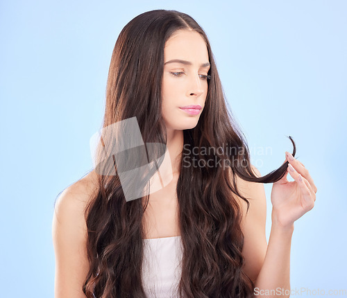 Image of Hair care, woman and split end frustrated from beauty salon and shampoo treatment. Blue background, female person and cosmetics of a model with haircut and keratin problem looking for wellness