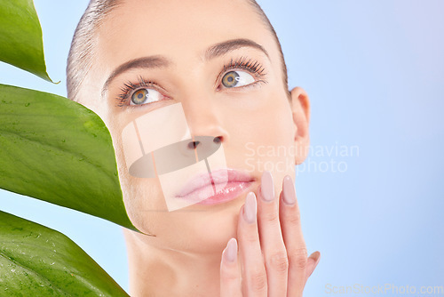 Image of Face, hand and natural beauty with nails, manicure and cosmetics with palm leaf isolated on blue background. Female model, glow and nail care, eco friendly dermatology and wellness with skincare