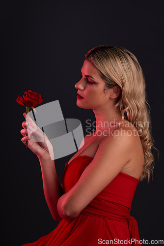 Image of Beauty, fashion and woman with a rose on a dark, black background in a studio thinking of love, romance or red aesthetic. Girl with a flower, dress and formal style in fantasy, fairytale or art