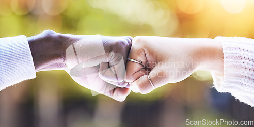 Image of Fist bump, diversity and hands of people in park for support, agreement and collaboration in nature. Friends, greeting and closeup of hand gesture for friendship, community and solidarity outdoors