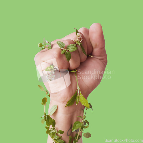 Image of Hand, plants and growth with a person in studio on a green background posing fist clenched for ecology. Nature, spring and flowers growing around the arm or wrist for eco friendly sustainability