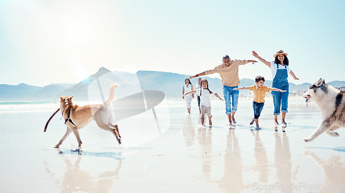 Image of Family, beach and parents with children and dogs for bonding, quality time and adventure together. Travel, pets and happy mom, dad and kids enjoy summer holiday, vacation and relax on weekend by sea