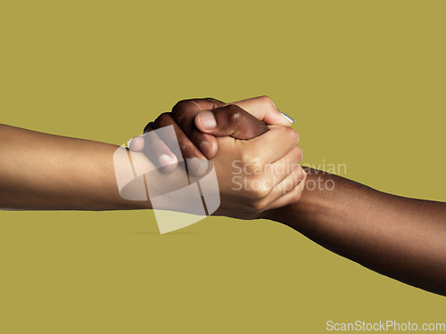 Image of Diversity, handshake and grip for unity, support or deal in trust or agreement against studio background. Diverse people shaking hands in partnership for meeting, greeting or motivation on mockup