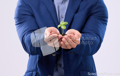 Image of Plant in man hands in business growth isolated on white background sustainability or eco friendly investment. Sapling soil, palm and sustainable development, sustainability or green startup in studio