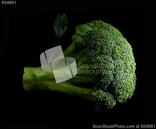 Image of broccoli