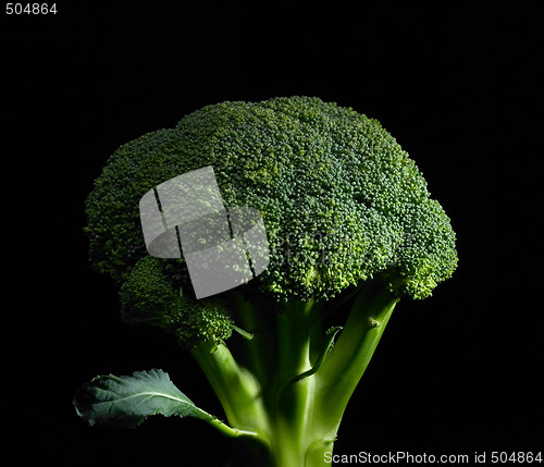 Image of broccoli