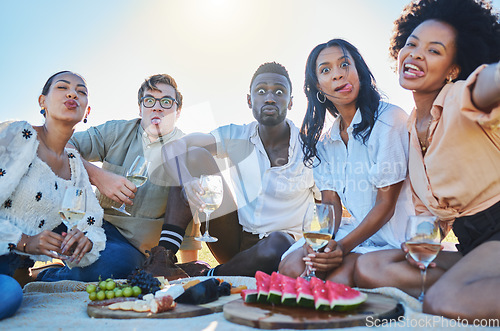 Image of Watermelon, selfie or crazy friends on picnic to enjoy bonding or eating healthy fruits in summer. Grapes, funny faces or happy people drinking wine with food on a relaxing holiday vacation in nature