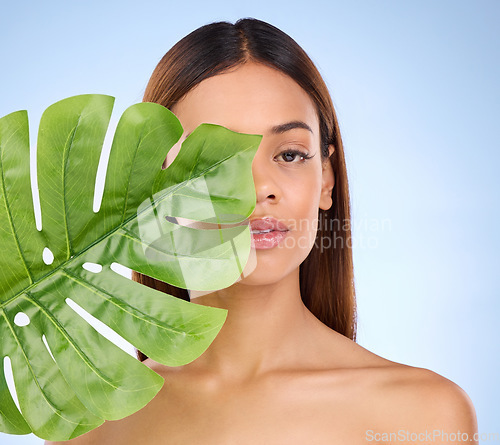 Image of Woman, portrait and face with leaf in beauty for natural skincare cosmetics, self love or care on a blue studio background. Female holding eco green plant for sustainable wellness and organic facial