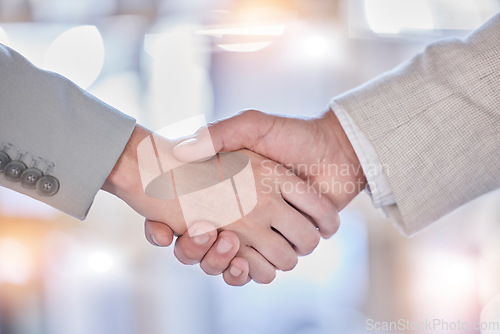 Image of Handshake, partnership and deal with business people in office for meeting, contract and opportunity. Agreement, job promotion and teamwork with employee shaking hands for welcome, hello and b2b