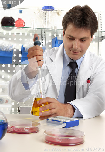 Image of Scientist taking sample with pipette