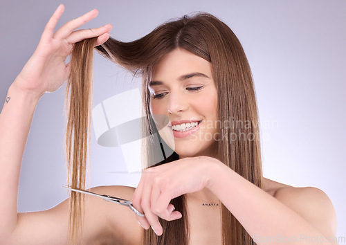 Image of Beauty, style and woman cutting her hair in studio on a gray background for grooming or care. Salon, shampoo and haircut with an attractive young female trimming her hairstyle for haircare