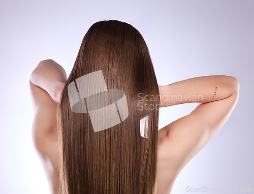 Image of Back, beauty and hair care of woman in studio isolated on a gray background. Texture, cosmetics and young female model with salon treatment for healthy keratin, balayage and natural hairstyle growth.