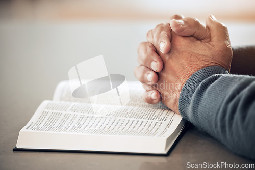 Image of Bible, reading book or hands of man for prayer, support or hope in Christianity religion or holy faith. Believe, zoom or senior person studying, praying or worshipping God in spiritual literature